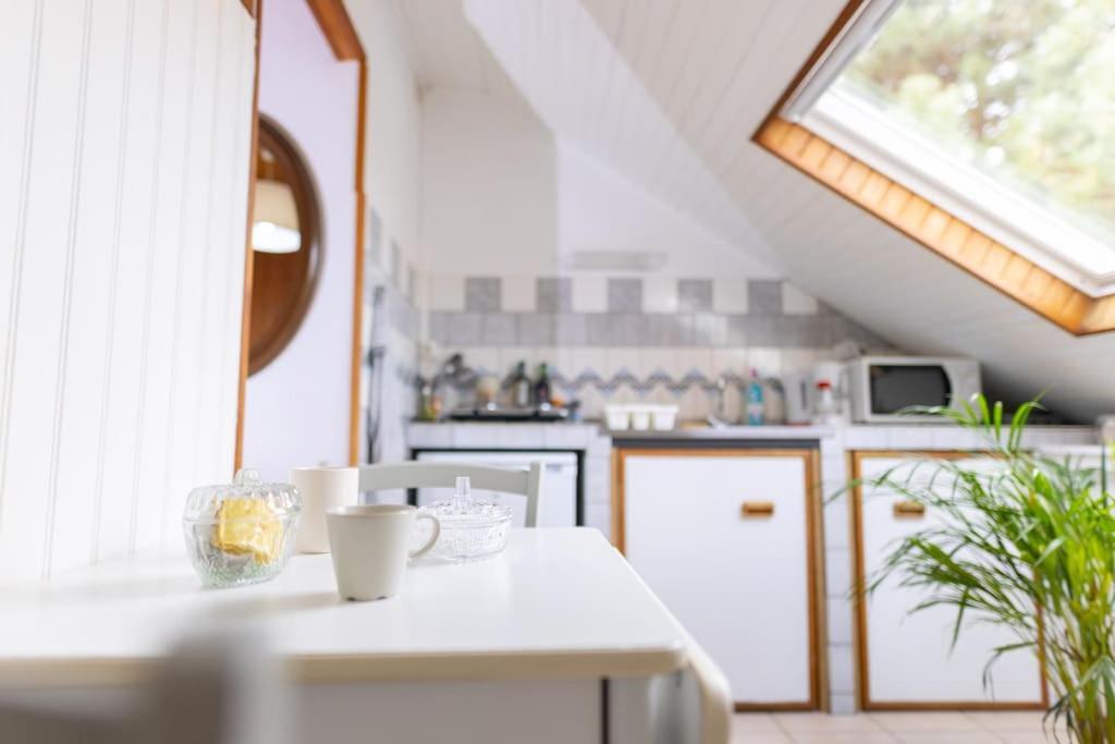 Apartment Sous Les Etoiles Au Coeur De Jaures *