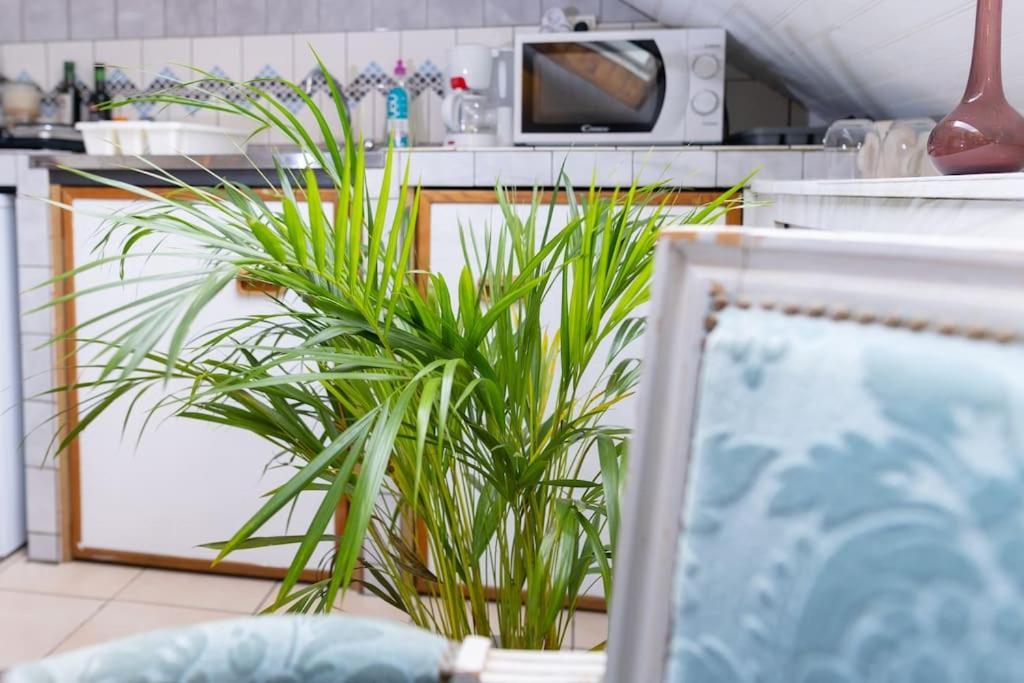 Sous Les Etoiles Au Coeur De Jaures Apartment Belfort