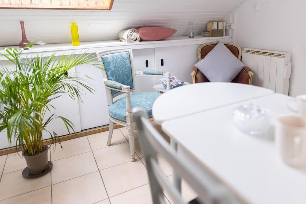 Apartment Sous Les Etoiles Au Coeur De Jaures